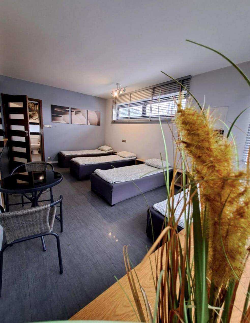 Apartment Kreatywne Plock