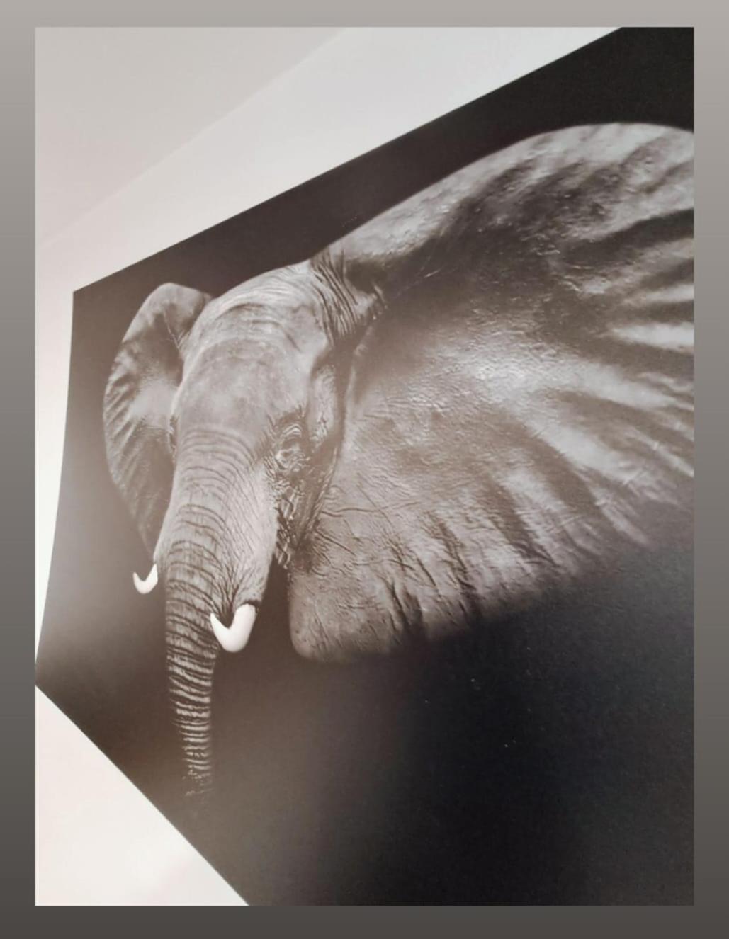 Kreatywne Apartment