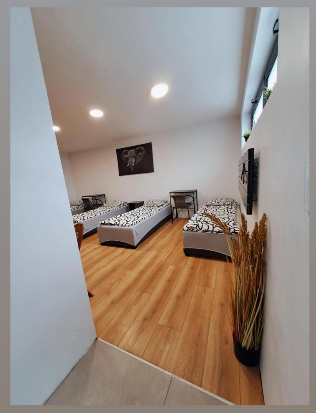Apartment Kreatywne Plock