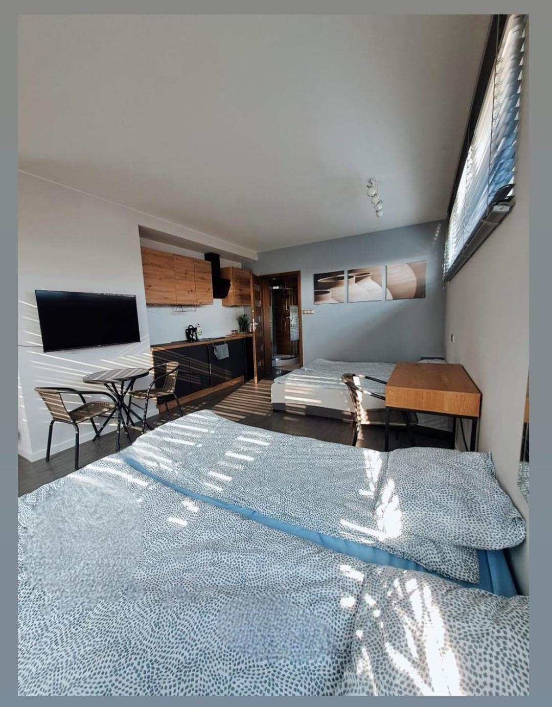 Kreatywne Apartment Plock